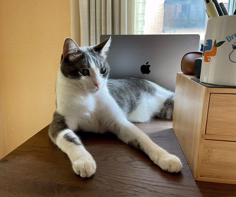 Mac-at