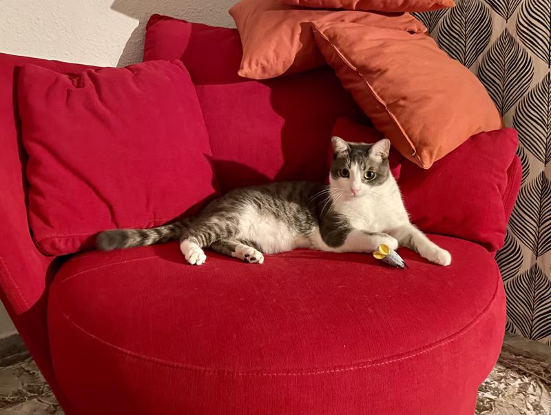 En su trono con su cetro