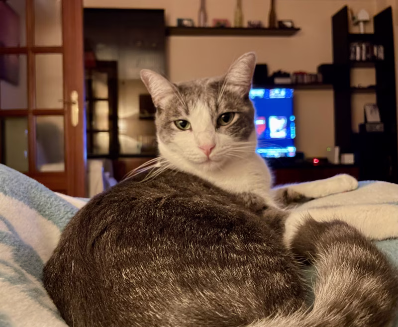 - Esa ya la he visto. Al final el asesino es el humano. -