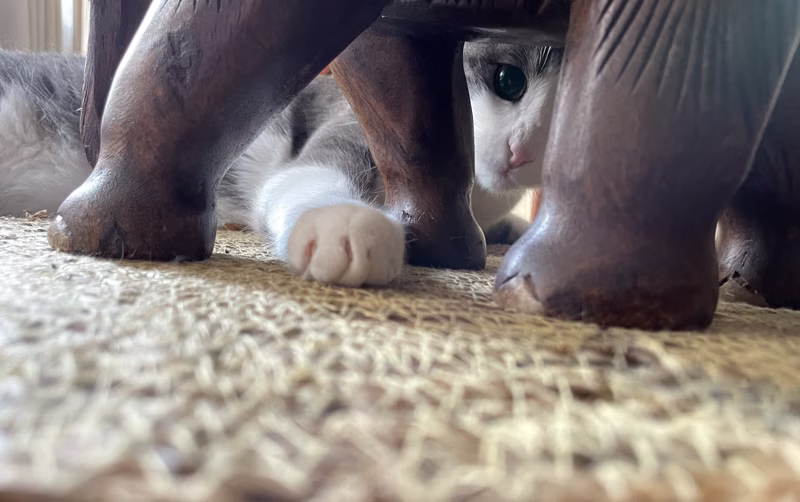 ¿Tú también por aquí?