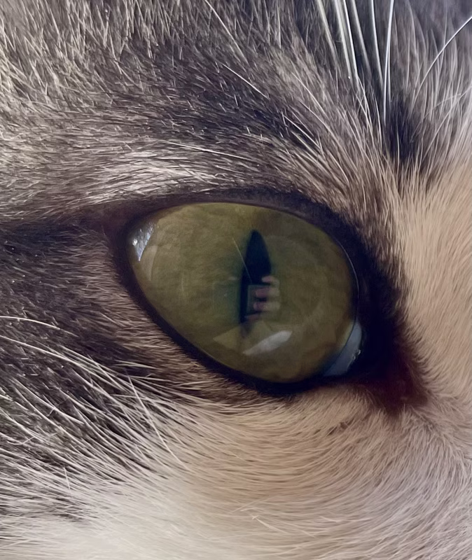 - Más fotos no… ¡piedad! -