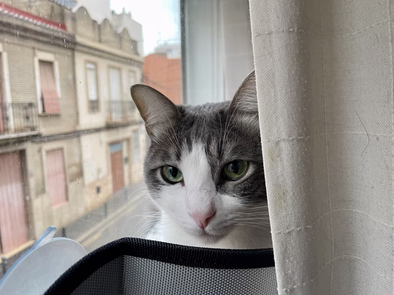 Estoy cansado de ser tan guapo