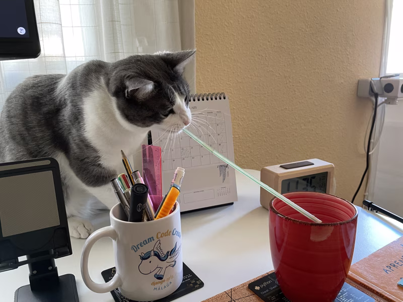 - ¡¿Cuantas veces tengo que decirte que la leche la quiero semidesnatada?! Me está saliendo barriguita. -