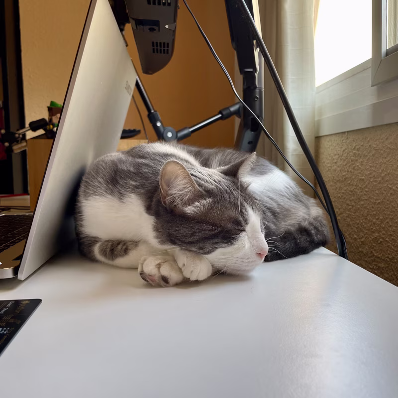 - Trabaja que yo te superviso.-