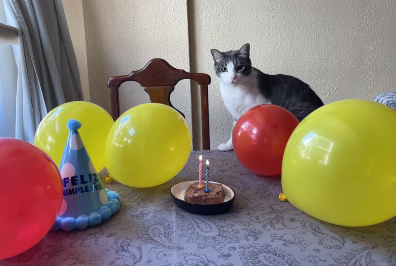 ¡Hoy cumple 2 añitos 🥳🎂!