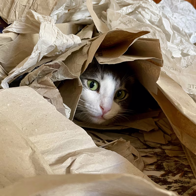 -Acompáñame a ver esta cueva de menos de 1 m²-