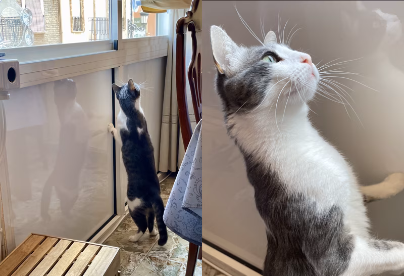 Mismo instante desde 2 ángulos