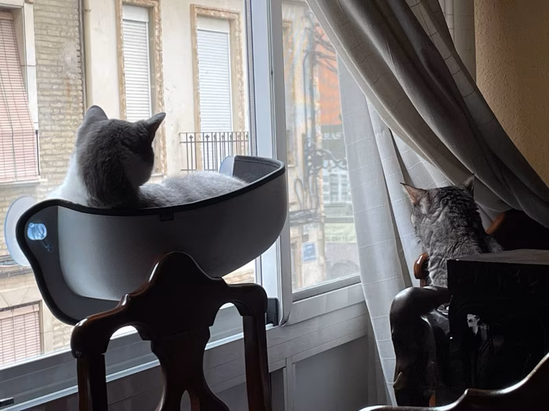 Doble factor de seguridad