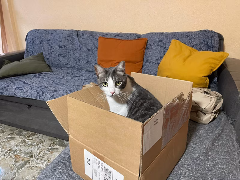 1 de cada 10 expertos recomiendan entrar en la caja de los envíos: el experto 👆🏼