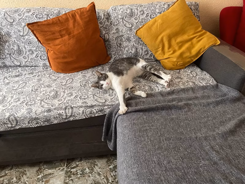 -¿Por qué me dejas dormir tanto?-