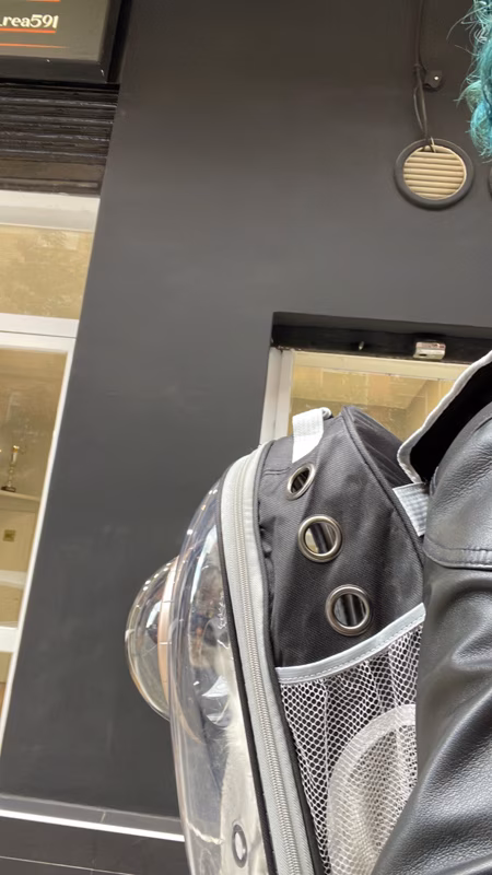 🥚🥚✂️➕📌💾🟰👍