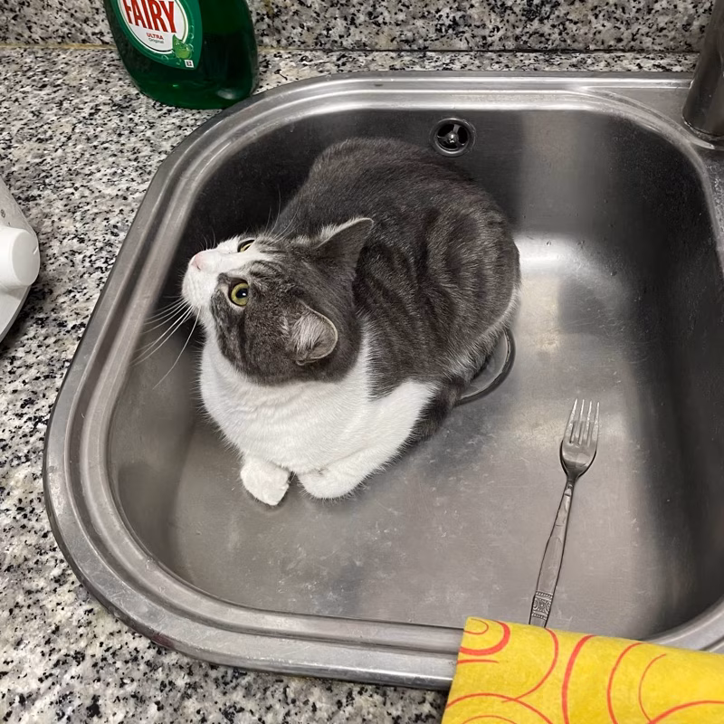 El mejor sitio para descansar