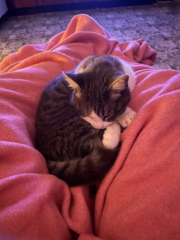 Ahora toca lo más difícil: llevarlo a la cama sin que se despierte