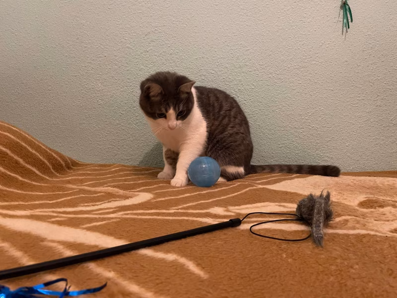 Hoy hemos estado jugando un montón!!