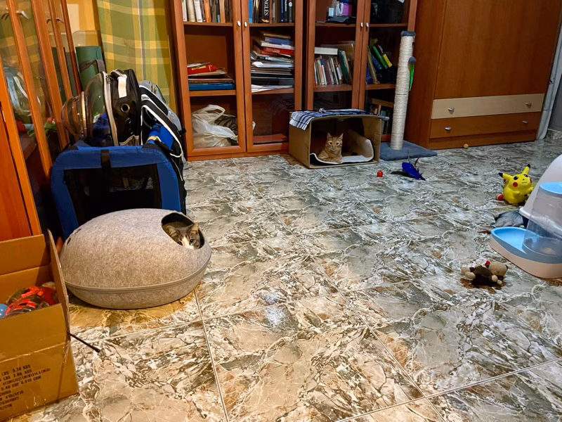 Primer día que dormirán juntos. Le hemos improvisado un casal fallero