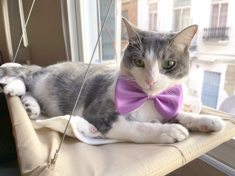 - ¡Feliz navidad! -